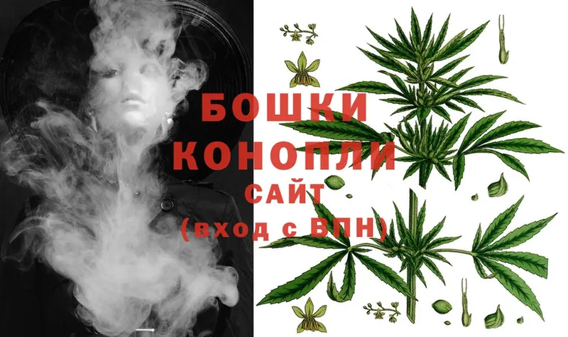 Шишки марихуана White Widow  Константиновск 